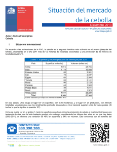 1388506931mercadoCebolla2013.pdf