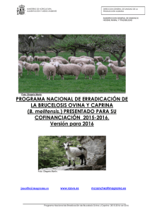 Programa nacional de erradicación de la brucelosis ovina y caprina (B. melitensis.) presentado por España para su cofinanciación 2015-2016