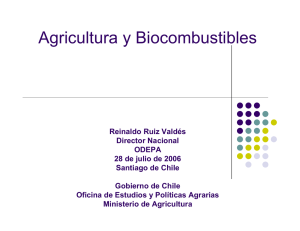 Agricultura y biocombustibles