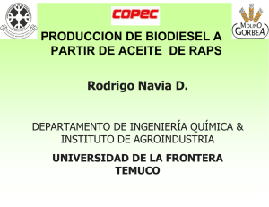 Producción de biodiesel a partir de aceite de raps