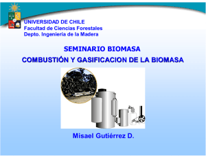 Combustión y gasificación de la biomasa