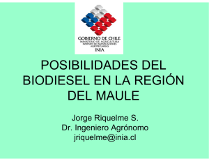 Posibilidades de biodiesel en la Región del Maule