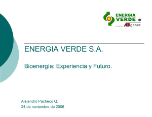 Bioenergía: experiencia y futuro
