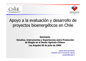 "Apoyo a la evaluación y desarrollo de proyectos bioenergéticos en Chile" (pdf - 217 Kb)