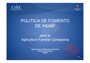"Política de Fomento de INDAP para la Agricultura Familiar Campesina" (pdf - 144 Kb)