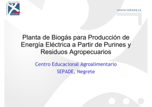 "Planta de biogás para la producción de energía eléctrica a partir de purines y residuos agropecuarios" (pdf - 1,6 Mb)