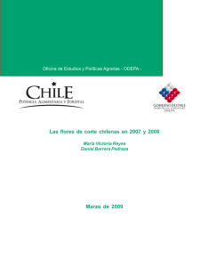 Las flores de corte chilenas en 2007 y 2008