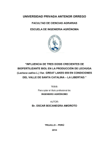 BOCANEGRA_OSCAR_BIOL_PRODUCCIÓN_LECHUGA.pdf