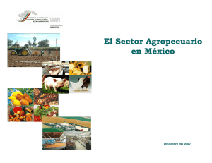 El sector agropecuario en México