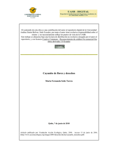 Soliz, F-CON026-Cayambe de flores.pdf