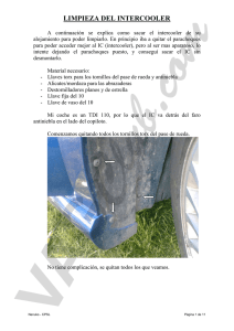 nenuko-limpieza-intercooler-tdi-110cv.pdf