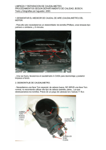 tugueder-reparacion-limpieza-caudalimetro.pdf