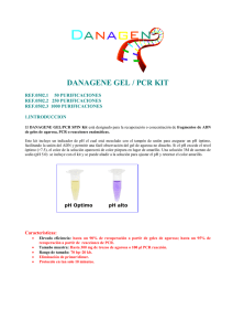DANAGENE GEL / PCR KIT