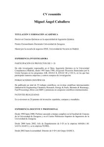 Curriculum de Miguel Angel Caballero