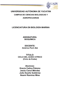 UNIVERSIDAD AUTÓNOMA DE YUCATÁN LICENCIATURA EN BIOLOGÍA MARINA ASIGNATURA: DOCENTE: