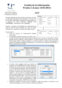 Gestión de la Información Prueba 2 (Lunes 14/01/2013) .NET