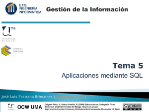 Aplicaciones mediante SQL  Gestión de la Información José Luis Pastrana Brincones (