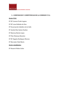 Comisión: Composición y Competencias