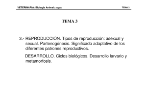 TEMA3A reproduccio.pdf