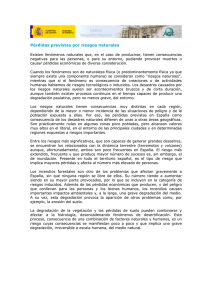 PERDIDAS ECONOMICAS.pdf