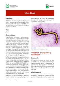 - Sin traducir - Virus del Ébola (pdf, 247 Kbytes)