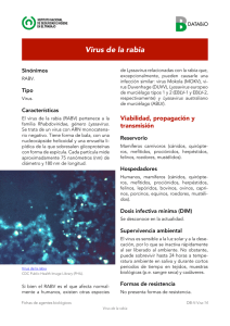 - Sin traducir - Virus de la rabia (pdf, 874 Kbytes)