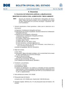 BOLETÍN OFICIAL DEL ESTADO V. Anuncios 6451