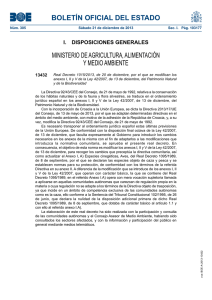 Real Decreto 1015/2013