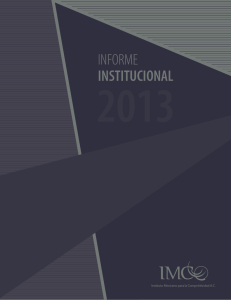 Informe Institucional 2013