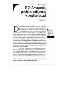 CI-06-TC-Ortiz.pdf