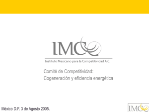 Cogeneración en PEMEX 2005