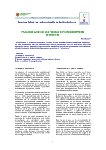 RAA-02-Pacari-Pluralidad jurídica una realidad constitucionalmente.pdf