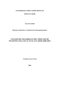 T0746-MDGT-Yerobi-Análisis del desarrollo del mercado de.pdf