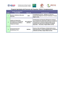 Proyectos Aprobados CONCURSO ICAA II – USAID Complementario (.pdf)