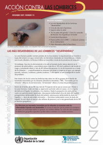 Spanish [pdf 142kb]