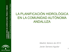 LA PLANIFICACIÓN HIDROLÓGICA EN LA COMUNIDAD AUTÓNOMA ANDALUZA Madrid, febrero de 2013