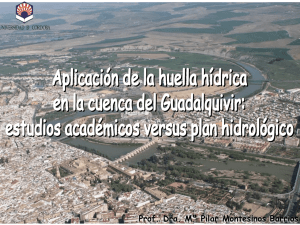 Aplicaci n de la huella h drica en la cuenca del Guadalquivir: estudios acad micos versus plan hidrol gico