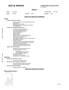 Estructura de subcuentas.pdf