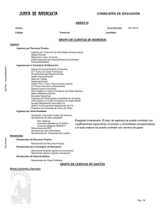 Estructura de subcuentas.pdf