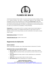 FLORES DE BACH