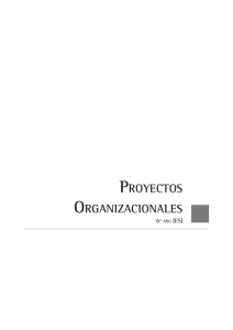 Proyectos Organizacionales