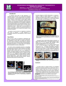 ecocardiografia tridimensional en el diagnóstico y tratamiento de la enfermedad de barlow.