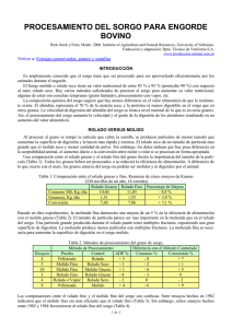 Procesamiento del Sorgo para Engorde Bovino: Gu&iacute;a Completa