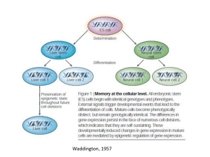Epigenética y memoria.pdf