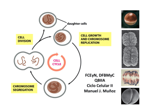 QBIIA Ciclo Celular y Cancer II.pdf