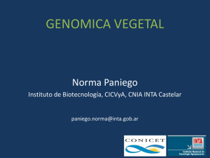 GenómicaPlantas2014.pdf