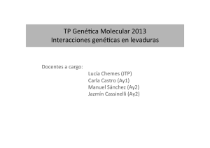 TP GENETICA MOLECULAR CHEMES.pdf