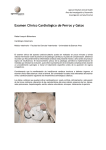 Examen Clínico Cardiológico de Perros y Gatos  [Escriba aquí]