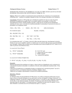 FSN TP Reposo.pdf