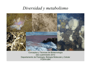 2_Diversidad.pdf